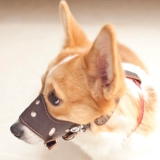 Обложка для рта собаки, собачья маска, анти -каркация называется средним большим лайки для собак, чтобы предотвратить случайное употребление золотистого ретривера для собак.