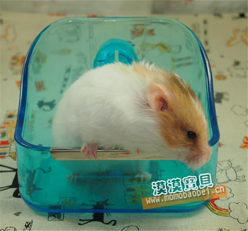 Кристалл в Нью -Лиге висит фиксированный фиксированный профилактическое профилактическое бассейн, туалетная ветчина, медведь, кролика, заканчивая, многокорректные дополнительные