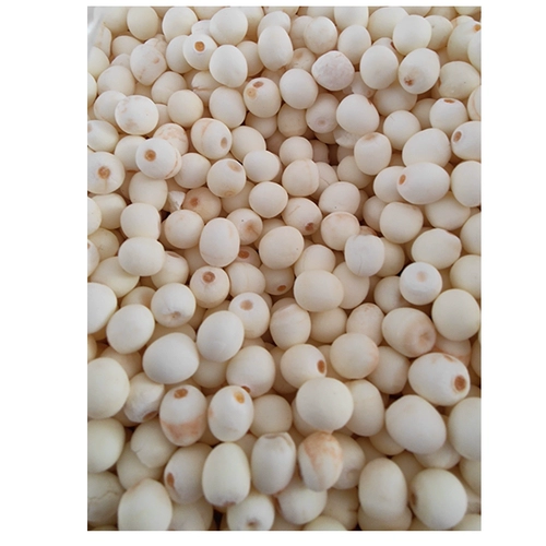 Специальное предложение бесплатная доставка fujian putian baiya shi shi shi shi shi shi shishi курица головка 500 г сухие товары зерна Разное зерно