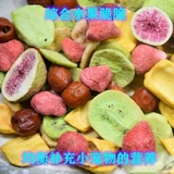 Бесплатная доставка Тоторо кролик, дельфин, мышь, мыши, мышиная вода, питание и питание с водой, желудочно -кишечные фрукты хрустящие хрустящие фрукты хрустящие