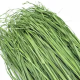 БЕСПЛАТНАЯ ДОСТАВКА 22 года сушильной пшеничной травы, кролик -дракон, голландская свинина, дельфин, немецкий, сухой травяной корм для корма