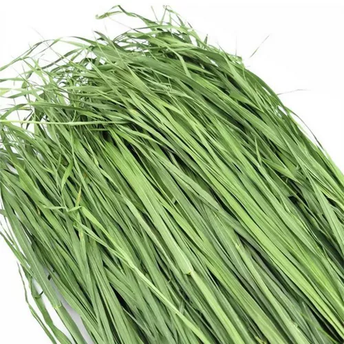 БЕСПЛАТНАЯ ДОСТАВКА 22 года сушильной пшеничной травы, кролик -дракон, голландская свинина, дельфин, немецкий, сухой травяной корм для корма