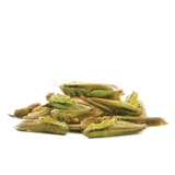 Jolly Zuli Cao Cao Dry 20 г медового периода и молока, и молодые крысы усиливают питание против питания против закусок