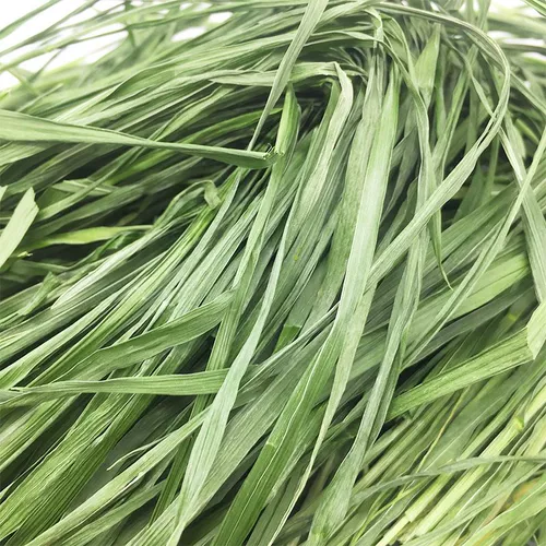 БЕСПЛАТНАЯ ДОСТАВКА 22 года сушильной пшеничной травы, кролик -дракон, голландская свинина, дельфин, немецкий, сухой травяной корм для корма