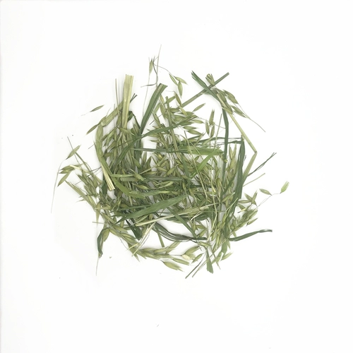 Высыхание овсяных ушей и травы секции кролика Тоторо Голландский