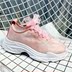 Mùa hè nụ lưới bề mặt muffin dưới sneakers lưới thoáng khí dốc với phụ nữ của giày phẳng sinh viên thoải mái thấp để giúp giày thường Giày cắt thấp