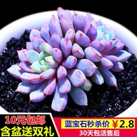 Светло-коричневый