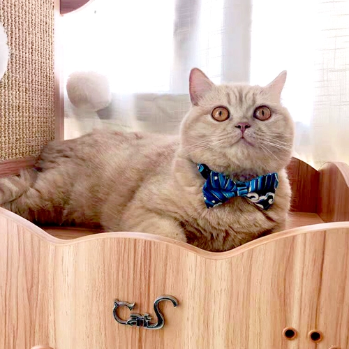 Чокер, колокольчик, галстук-бабочка с бантиком, домашний питомец, кот, делается под заказ
