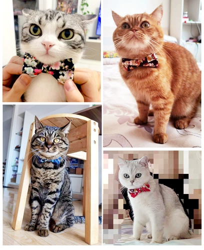 Чокер, колокольчик, галстук-бабочка с бантиком, домашний питомец, кот, делается под заказ