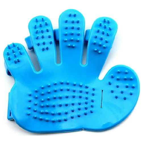 Петутная собака ванна пять пальцев кисти рукой