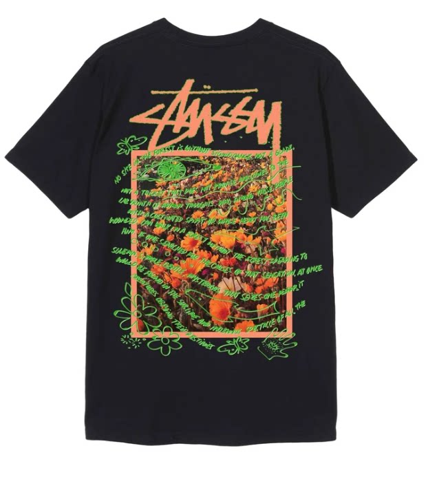 Stussy tide бренд Stucy's множество хлопковых футболок с круглым вырезом и short-sleeved снимок без возврата Canadian покупок