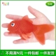 Cá nhựa mềm đạo cụ cá giả kích thước cá nhỏ trang trí cá mẫu giáo mẫu giáo trẻ em ngày mô hình động vật - Đồ chơi gia đình