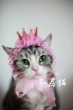 Частная кошка Pet Crown Hat Princess Princess Queen Birthday Hight Head Head Полученная шляпа