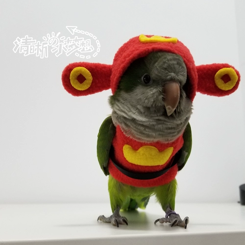 Ясная маленькая мечта Оригинальная птица попугая, одежда со шляпой, свитер, густая теплая одежда, летающая служба, богатство Бога Новогоднего платья