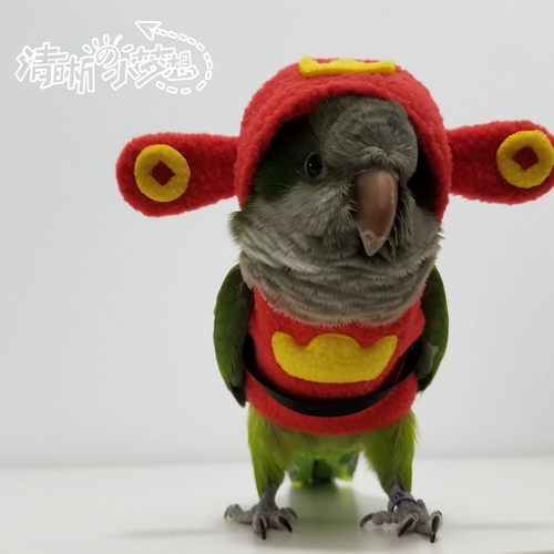 Ясная маленькая мечта Оригинальная птица попугая, одежда со шляпой, свитер, густая теплая одежда, летающая служба, богатство Бога Новогоднего платья