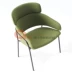 Ghế ăn Bắc Âu thiết kế nội thất STRIKE Ghế khách kim loại Ghế ăn ghế sofa gỗ Đồ nội thất thiết kế