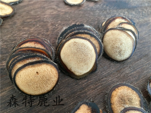 [长白山鹿茸]
