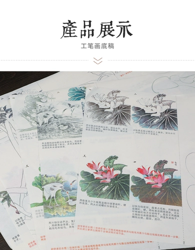 Носовая на базе начинающие ученый -живопись покраска кисти белый рисунок нижний проект положить китайскую картину Lotus Carp Line Line может быть непосредственно приготовленной