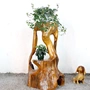 Long não gỗ rắn gỗ đứng một gốc khắc khung cây bonsai kệ tự nhiên gốc cây trang trí cửa hàng - Các món ăn khao khát gốc bàn ghế gỗ gốc cây