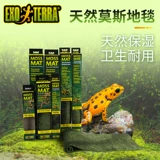 Канада рептилия из Gijin Moisen Pad Rainforest Carpet, земельная черепаха ландшафтная ландшафтная змея -ящеричная ящерица