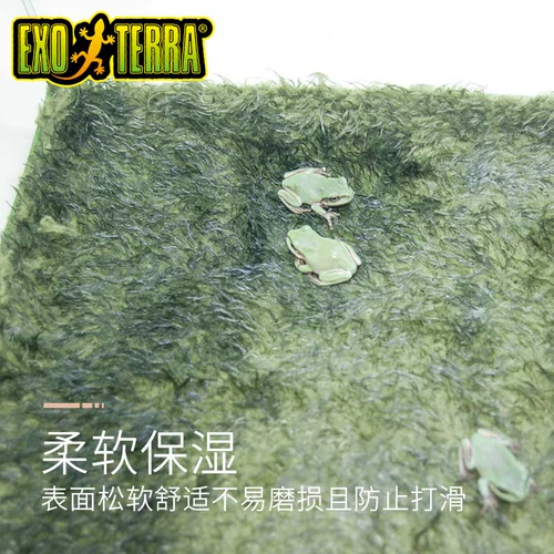 Канада рептилия из Gijin Moisen Pad Rainforest Carpet, земельная черепаха ландшафтная ландшафтная змея -ящеричная ящерица
