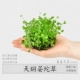 Tianhu 荽 1 1 1