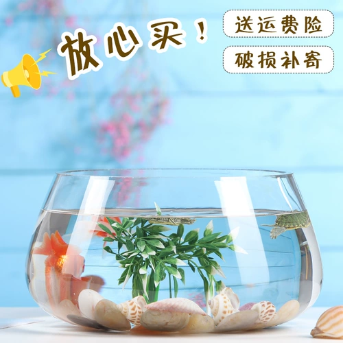 Прозрачный домашний круглый билан золотой аквариум маленькая рыба