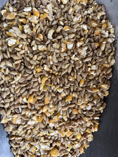 Nantong Self -из оригинальной курицы, утки и гуся.