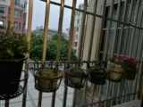 Руновые рельсы в стиле европейского стиля висят цветочный бассейн