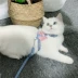 Xuất khẩu sang Hàn Quốc Công chúa mèo gió hình dây đeo ngực hình con chó dễ thương kéo dây ra ngoài để ngăn chó đi dạo và mèo - Cat / Dog hàng ngày Neccessities