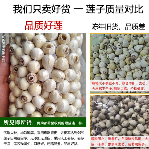Big Grain Новые лотосные кожаные кожаные семена лотоса сухие и сердечные продукты 500G Specialty Семена лотоса без сердечника