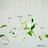 Креативная глянцевая прозрачная лампа для растений для раннего возраста, украшение для ногтей, бутылка