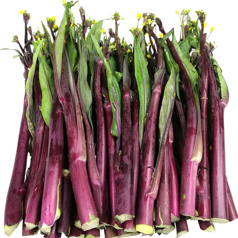 新鲜红菜苔湖北特产紫菜苔洪山菜苔菜薹纯天然绿色时令蔬菜嫩 5斤