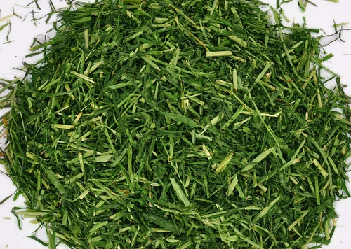 Секция ячменной трава морская свинья голландская свинья, морская свинка, кролик Тоторо 250 грамм 3 фунта бесплатная доставка