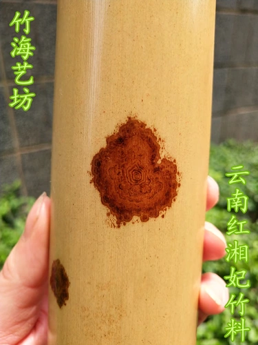 Zhuhai Yifang Hongxiangfei Bamboo Bamboo Art Yunnan Hongxiang наложница бамбуко