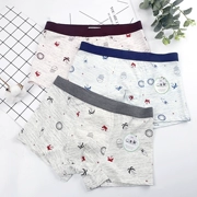 Teen màu cotton nam kích thước lớn cotton màu sắc ánh sáng cotton cotton boxer mùa hè thoáng khí mềm chải cotton đồ lót