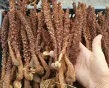 Новые товары Daxinganling Wild Cao Mountain Budi Rice Lie Lige Dangken Ren Rong Rong Rong 20 см или более