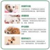 Men vi sinh NAS Úc điều hòa dạ dày mèo và chó men vi sinh giúp tiêu hóa và tăng cường khả năng miễn dịch 100g - Cat / Dog Health bổ sung sữa cho chó mẹ sau sinh Cat / Dog Health bổ sung