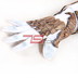 79COS Devil May Cry 5 Nero Handguard Quỷ của Móng Vuốt COSPLAY Đạo Cụ Tùy Chỉnh 2227 đồ cosplay kimetsu yaiba Cosplay