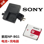 Sony DSC-T100 WX1 W210 W220 H50 HX7 HX9 Camera + Bộ sạc pin + Bộ sạc - Phụ kiện máy ảnh kỹ thuật số