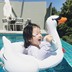 Miễn phí cá mập bé bơi vòng 1-3 tuổi Ghế bé flamingo bơi vòng cho bé 3-6 tuổi dày lên phao tay trẻ em Cao su nổi