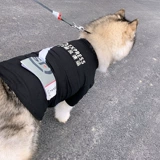 Аляска Hascosmayer Dog Одежда осенью и зимой плюс бархат большие собаки забавные личности курьер