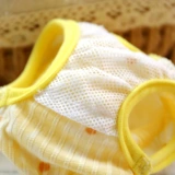 York Shipbar Teddy Bomei Snowy Kida Colls Dog Physiological штаны Небольшие ионные менструальные штаны, чтобы предотвратить преследование