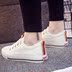 Mùa xuân mới giày nữ mùa thu 2018 làn sóng mới sinh viên Hàn Quốc phiên bản của sneakers flat dưới đa năng giày vải nữ England giày Plimsolls