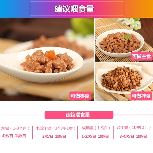Кошка кошачья кошачья кошка мокрое еда замечательная свежая мешка с мясо