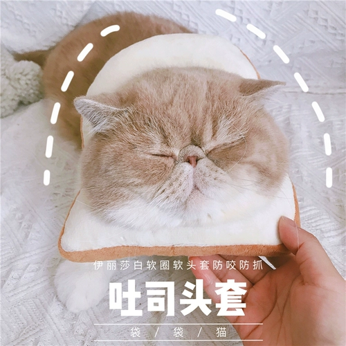 Сумки кошки инсвокат авокадо кошачья голова, голова, голова, крышка головы, сеть красный круг Элизабет Круг против списания стыда