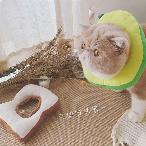 Сумки кошки инсвокат авокадо кошачья голова, голова, голова, крышка головы, сеть красный круг Элизабет Круг против списания стыда