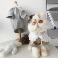 Цвет воротника кукол