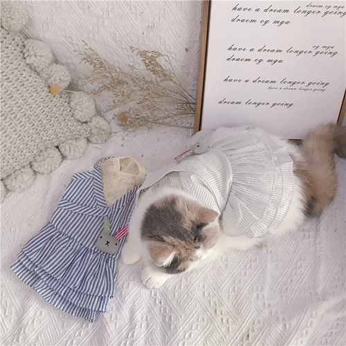 Кружевное брендовое платье, осенняя юбка