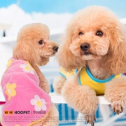 Puppy vest mùa hè đầm mỏng phần quần áo Teddy gấu Xiong Bomei thú cưng quần áo nhỏ chó con chó con Áo phông - Quần áo & phụ kiện thú cưng